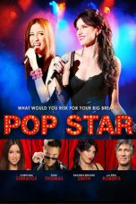 Pop Star (2013)