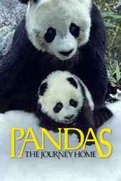 Pandas: The Journey Home (2014)