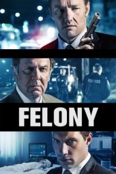 Felony (2014)