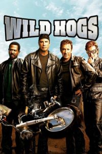 Wild Hogs (2007)