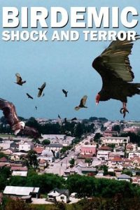 Birdemic: Shock and Terror (2010)