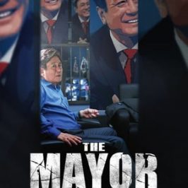 The Mayor (2017)