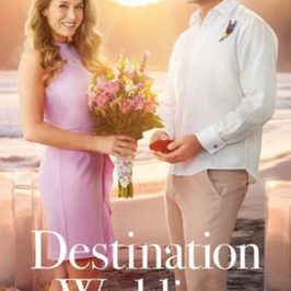 Destination Wedding (2017)