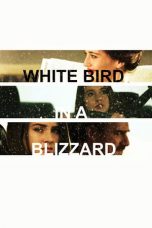 White Bird in a Blizzard (2014)