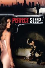 The Perfect Sleep (2009)