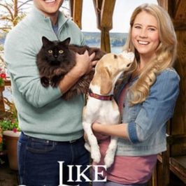 Like Cats & Dogs (2017)