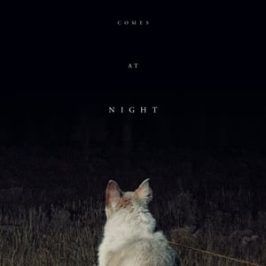 It Comes at Night (2017)