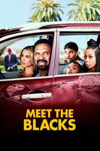 Meet the Blacks (2016)