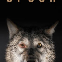 Spoor (2017)