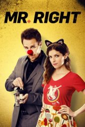 Mr. Right (2016)