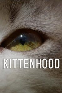 Kittenhood (2015)