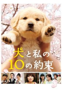 10 Promises to My Dog (2008)