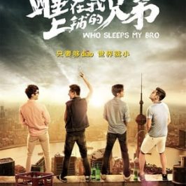 Who Sleeps My Bro (2016)