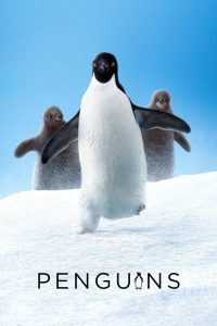 Penguins (2019)