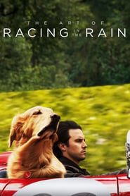 The Art of Racing in the Rain (2019)