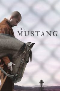 The Mustang (2019)