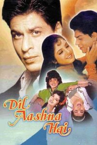 Dil Aashna Hai (1992)