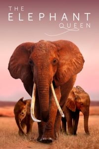 The Elephant Queen (2019)