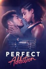 Perfect Addiction (2023)